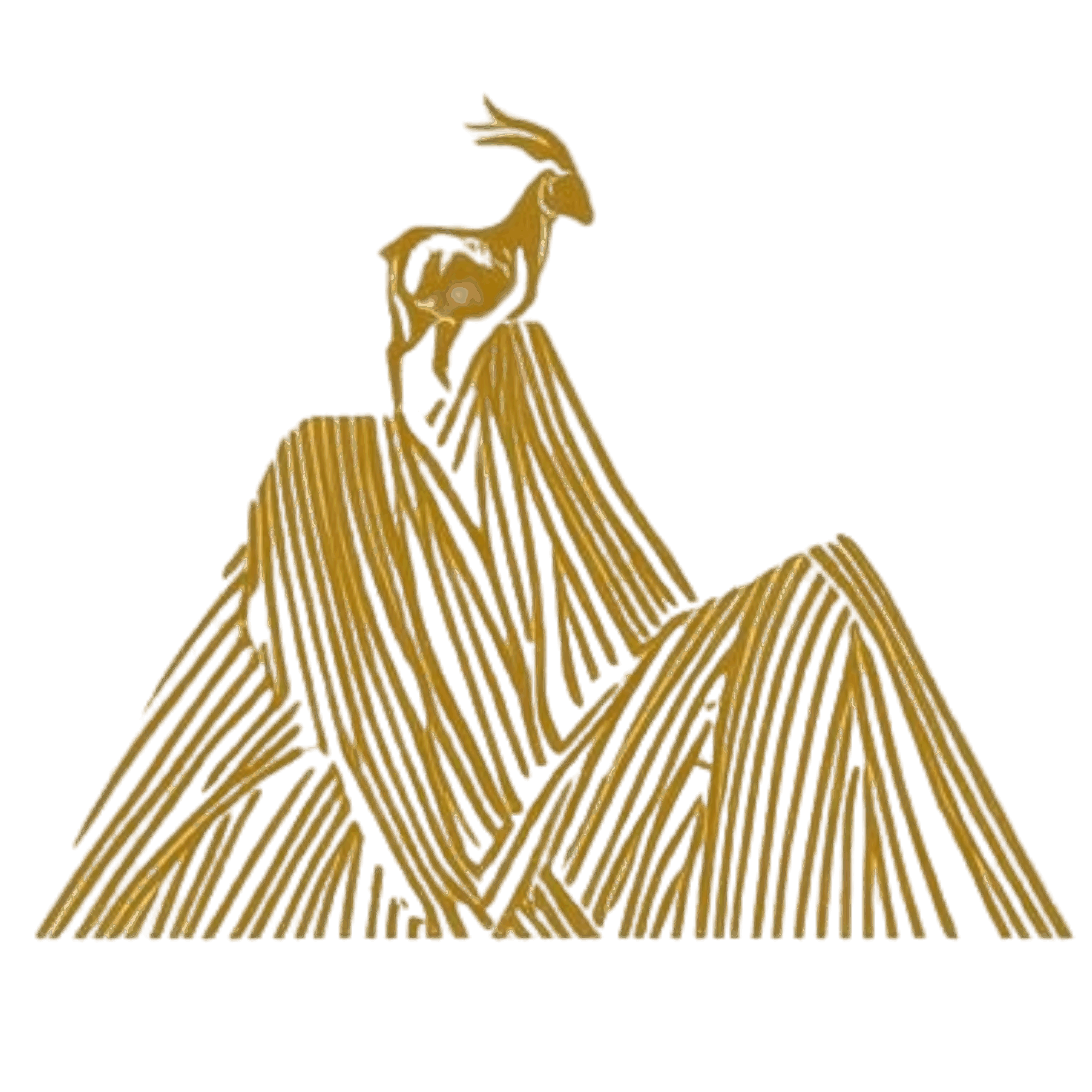 Qinghe County Huanfeng Trading Co., Ltd. logo