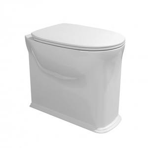 Flaminia Madre, tanque oculto de estilo europeo, de doble descarga WC, Material UF, inodoros sin montura con cuenco alargado para baños de villas - Product Image 1