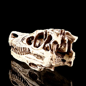 Nhựa Tượng Jurassic Công Viên Khủng Long <span class=keywords><strong>Skull</strong></span> Skd16 Halloween Nghệ Thuật Điêu Khắc Lễ Hội Món Quà Động Vật Bức Tượng Bộ Sưu Tập - Product Image 5