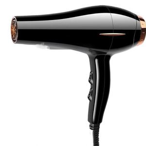 Portable High-Speed Plasma Hair Dryer <b>Mini</b> Brushless High Wind Hair Dryer Fan Made in China - Product Image 1