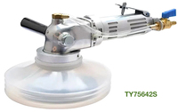 TY75642S Pneumatique 6 pouces Polisseuse latérale à eau pour polir les dalles de carrelage, la céramique, la porcelaine, le quartz, le granit, 4 200 tr/min