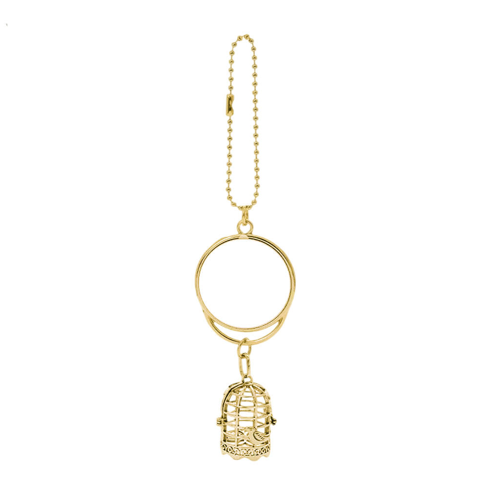 GJ-13G gold birdcage