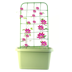 Cadre d'escalade pour plantes en métal, vente en gros, haute qualité, bon marché, pour la croissance des fleurs, <span class=keywords><strong>support</strong></span> de tige - Product Image 4