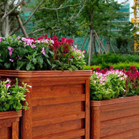 Jardinière en bois durable pour l'extérieur avec trous de drainage, résistante aux intempéries et à la décoloration, design moderne pour la plantation à la maison et au jardin