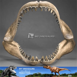 MON DINO Grande Taille Animal Marin Megalodon Dents Et Modèle de Mâchoire Pour Aire De Jeux Intérieure - Product Image 3