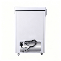 Congélateur portable compact à porte unique de 99 L, équipement de réfrigération à économie d'énergie pour hôtel, salon de thé, boulangerie, magasin de snacks