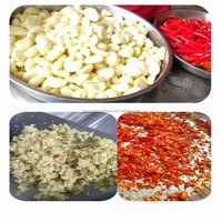Machine industrielle de haute qualité pour la fabrication de purée de fruits et légumes, de pommes de terre et de concentré de tomates, en acier inoxydable SUS 304.