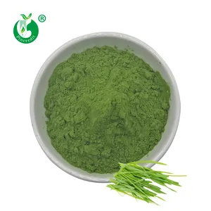 Prix de fabrication séché par pulvérisation soluble dans l'eau organique vert jeune poudre de jus d'herbe d'orge