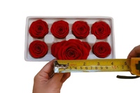 UKIQUEEN Vente en gros de têtes de roses rouges préservées, 8 pièces, roses naturelles éternelles pour la création de bouquets, décoration de mariage