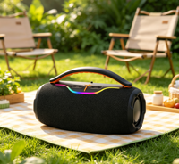 Pabrik Speaker Nirkabel Portabel Luar Ruangan OEM/ODM Logo Kustom Pesta Luar Ruangan Mini Xtrerm Pencahayaan RGB