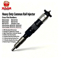 Injektor Bahan Bakar Diesel RE524362 RE518725 095000-5160 Injektor Pengganti Mesin Diesel Industri Berkapasitas Besar