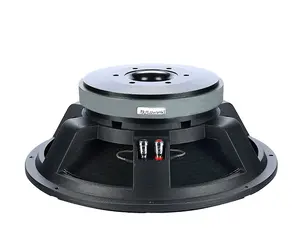 Profesional Produsen 220Mm Magnet 100Mm Voice Coil Speaker Woofer 15 Inchi