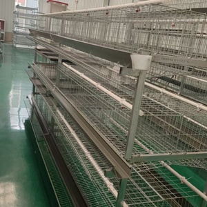 กรงไก่แบบ H สำหรับ<span class=keywords><strong>สวน</strong></span>สัตว์ปีกในเขตเศรษฐกิจพิเศษ - Product Image 4