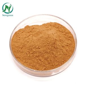 Estratto in Polvere di Semi di Ippocastano di Alta Qualità Newgreen, Aescina 20% - Product Image 2