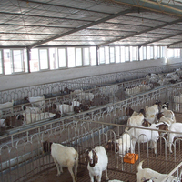 Bâtiment en structure préfabriquée en acier directement de l'usine pour élevage de moutons, de chèvres, d'ovins laitiers, atelier en acier avec services de soudage