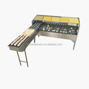 เครื่องคัดแยกไข่แบบสายพานลำเลียง เครื่องคัดขนาดไข่อัตโนมัติ - Product Image 1