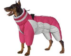 Veste solide et coupe-vent pour chien, vêtement d'automne et d'hiver, en coton épais, écologique et écologique, nouveauté - Product Image 1