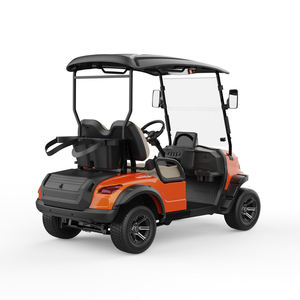 Voiturette de golf compacte multifonctionnelle pour usage personnel, véhicule de loisirs extérieur 2 places, chariot polyvalent pour parcours de golf - Product Image 2