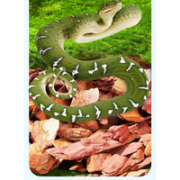 Bois de pin pour terrariums, litière pour reptiles, caméléons et tortues, absorbant l'humidité et éliminant les odeurs.