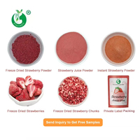 Pincredit Supply - Poudre de fraises lyophilisées en gros, prix de gros, marque privée