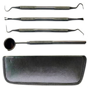 Kit Profesional Manual de Higiene Dental de 4 Piezas, Raspador de Dientes de Resina y Acero Inoxidable, Espejo, Removedor de Sarro/Placa Reutilizable - Product Image 1