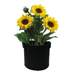 3 5 7 10 12 25 gallons <span class=keywords><strong>petit</strong></span> pliable biodégradable tissu fleur plante pot poussent des sacs - Product Image 1