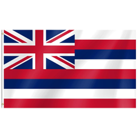 Drapeaux de l'État du Connecticut 3x5FT en polyester avec œillets métalliques pour fêtes, défilés, événements sportifs, décorations extérieures
