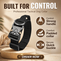 Collier pour chien robuste de haute qualité, multicolores, résistant à l'usure, réglable, collier tactique d'entraînement pour chien d'extérieur