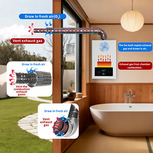 Calentador de Agua a Gas de Tipo Balanceado, Ahorro de Energía y Seguro, <span class=keywords><strong>Combustión</strong></span> Estable con Diseño Moderno - Product Image 5