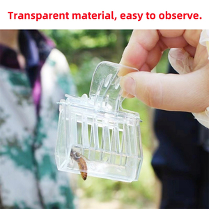 Jaula para Abeja Reina <span class=keywords><strong>de</strong></span> Plástico Transparente, Estilo Pinza, Controlador <span class=keywords><strong>de</strong></span> <span class=keywords><strong>Abejas</strong></span> Reinas, Equipo para Apicultores que Evita la Escape <span class=keywords><strong>de</strong></span> <span class=keywords><strong>Abejas</strong></span> Trabajadoras - Product Image 6