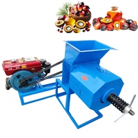 Fabrieksprijs Kleine Mini Goedkope Palmfruitpers Extractiemachine Palmoliepers Fabriek