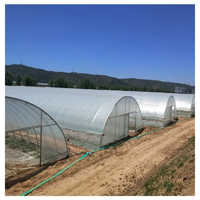 Single Span Agriculture Tunnel Greenhouse Poly Plastic Film House Green house Tunnel