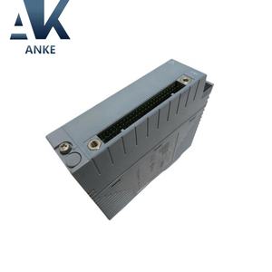 โมดูลอินพุตแบบอนาล็อก Yokogawa S2 AAR181-S50 - Product Image 2