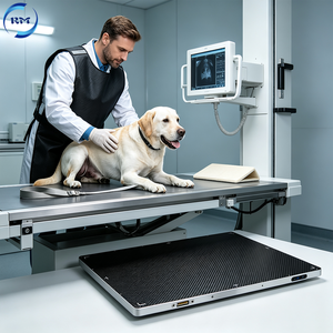 Détecteur à panneau plat vétérinaire 17*17 pouces pour une sortie radiographique claire des os et des tissus mous des animaux - Product Image 5