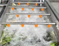 Industriële automatische voedselverwerker fruit- en groentewasmachine gember- en cassavewasmachine
