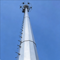 Tour Monopode de Communication Urbaine pour Antenne Cellulaire Wi-Fi, en Acier Q355B Galvanisé à Chaud, Installation Facile
