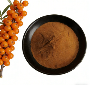 ขายส่งสารสกัดจากซีบัคธอร์น ฟลาโวนอยด์ 10% ผงซีบัคธอร์นจากธรรมชาติ วัตถุดิบเพื่อสุขภาพ มีสต็อกพร้อมจำหน่าย รับผลิตตามความต้องการ - Product Image 1