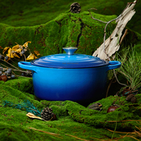 Cocotte en fonte émaillée de haute qualité, vente directe d'usine chinoise, compatible gaz et induction, antiadhésive, résistante au four