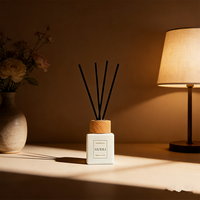 Bâtonnets d'aromathérapie personnalisés en gros avec diffuseurs pour la purification de l'air, bâtonnets d'aromathérapie sans flamme pour la maison et eau parfumée