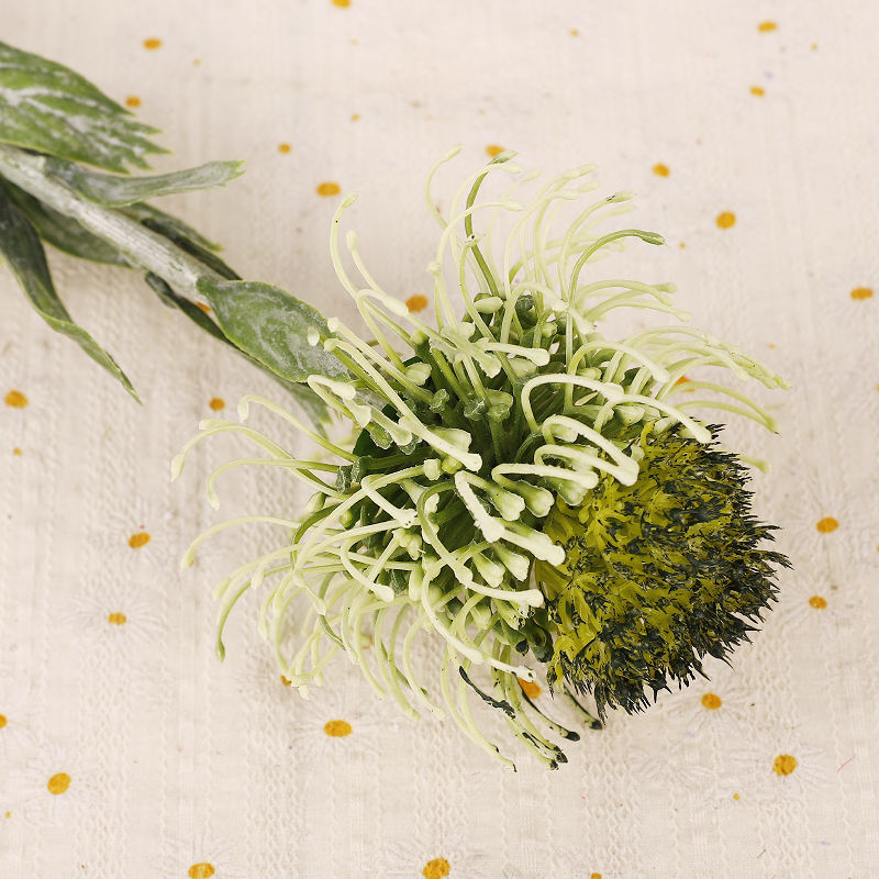 สีเขียว