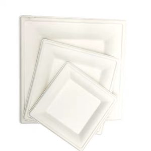 Hot Sale Natural Healthy Japanese Sushi Eco-friendly Biodegradable Plate Disposable Paper Food Serving Bagasse Tray
