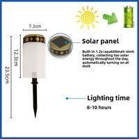 Lampe solaire LED extérieure moderne, étanche, petite, avec capteur et design à lumière constante pour jardin et cimetière