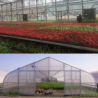 Serre préfabriquée géodésique à simple travée en polycarbonate pour systèmes hydroponiques, à faible coût, pour plantes