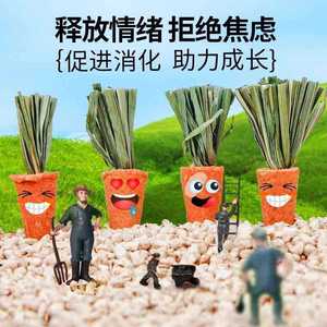 Cute hamster chew sticks, snacks, <b>biscuits</b>, carrots, golden hamsters, dwarf rabbits, guinea pigs, chinchillas, and landscaping - Product Image 3