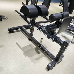 DZ-103 맞춤형 GHD/글루트 햄 벤치 글루트 개발 헬스기구 백 익스텐션 싯업 상업용 기계 - Product Image 1