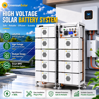 Batteries lithium-ion haute capacité Greensun 257 kWh, batterie lithium-ion haute tension 256 V-819,2 V 314 Ah pour BESS