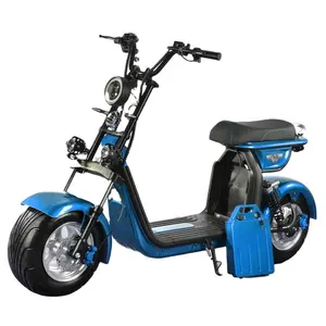 Eeg/Coc Eu Magazijn Uitstekende Afwerking Slap-Up Best Selling Citycoco Elektrische Scooter