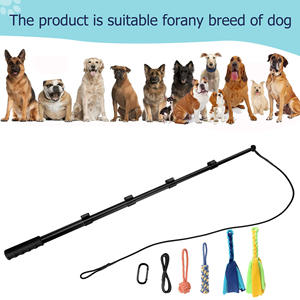 Hoge Kwaliteit Sporter Interactief Huisdier Speelgoed Training Trekken Honden Oefenapparatuur Uitschuifbare Flirtstok - Product Image 3