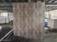 Panel de Pared para Ducha de PVC con Acabado Metálico Negro Hexagonal, 1/1.2m, de Alta Calidad, Impermeable y con Protección UV, para Decoración de Baños