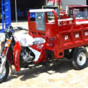 รถสามล้อบรรทุกแบบปิดขนาด 250 ซีซี กำลังไฟ 1000 วัตต์ รถจักรยานยนต์สามล้อแบบเปิดขนาด 150 ซีซี สำหรับผู้ใหญ่ - Product Image 2